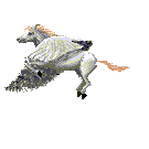horsefly45.gif